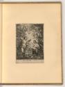 Corneille Schut., Verkündigung an Maria, Inv. Nr.: Holland nach Sektionen II/30, H/II/30/5
