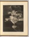 Ferdinand Bol. Jean Livens. Govert Flink. G. van den Eeckhoudt. G. van den Eeckhoudt. Samuel va…