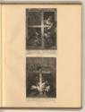 Adrian et Isaak van Ostade, Bauern in einem Fenster, Inv. Nr.: Holland nach Sektionen II/49, H/…