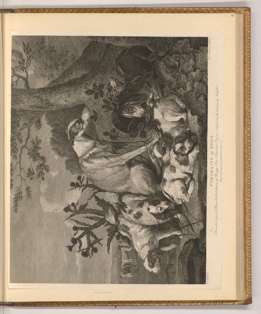D. Rykaert. Gonzales Coques. Theod. Roelants. Henri Zorg. Jean Peeters. Gilles van Tilburg. cha…