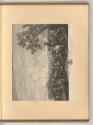 Philippe Wouwermans Vol. III., Marche d'Armée, Inv. Nr.: Holland nach Sektionen II/59, H/II/59/…