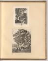 Corneille Bega. Herman van Swanevelt. Aldert van Everdingen. Adam Pynaker. Jean B. Weeninx et a…