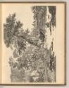 Nicolas Berghem. Vol. II., Rückkehr zum Bauernhof, Inv. Nr.: Holland nach Sektionen II/62, H/II…