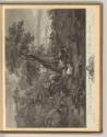 Nicolas Berghem. Vol. II., Rückkehr zum Bauernhof, Inv. Nr.: Holland nach Sektionen II/62, H/II…