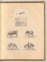 Paul Potter; J. van der Ulft; Henri Verschuring; Guillaume Kalf; Barent Graat; Pierre Bredael e…