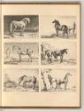 Paul Potter; J. van der Ulft; Henri Verschuring; Guillaume Kalf; Barent Graat; Pierre Bredael e…