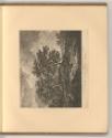 Salomon et Jakob Ruisdael. Reinier de Vries. Meindert Hobbema. Dekker. C. Dubois., Baumlandscha…
