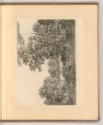 Salomon et Jakob Ruisdael. Reinier de Vries. Meindert Hobbema. Dekker. C. Dubois., Waldlandscha…