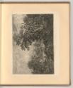Salomon et Jakob Ruisdael. Reinier de Vries. Meindert Hobbema. Dekker. C. Dubois., Waldlandscha…