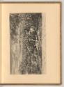 Livin Mehus. Adrien Backer. Jean Erasme Quellinus. Francois van der Meulen. Jean van Assen. Mel…