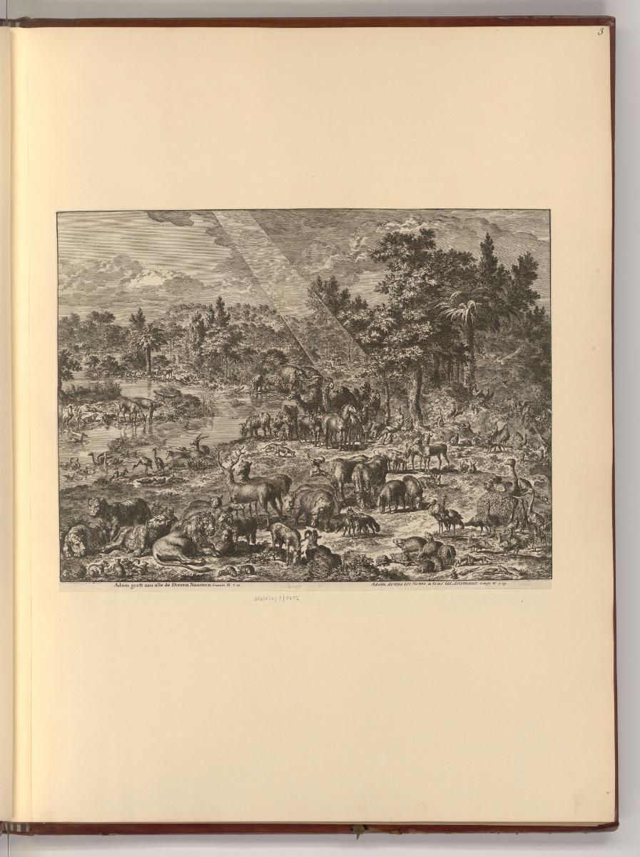 Jean Luyken, Adam gibt allen Tieren Namen, Inv. Nr.: Holland nach Sektionen II/69, H/II/69/3
