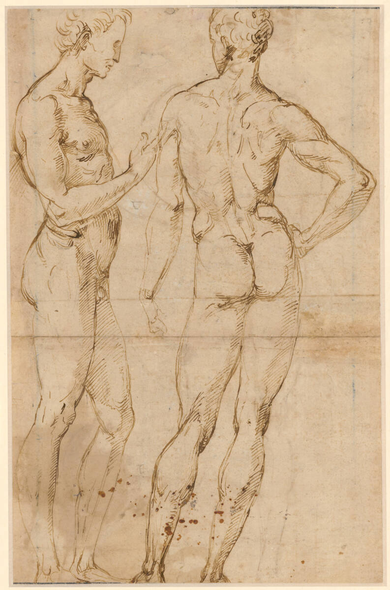 Zwei stehende Männerakte in Seiten- und Rückenansicht, Raphael, 1507–1508