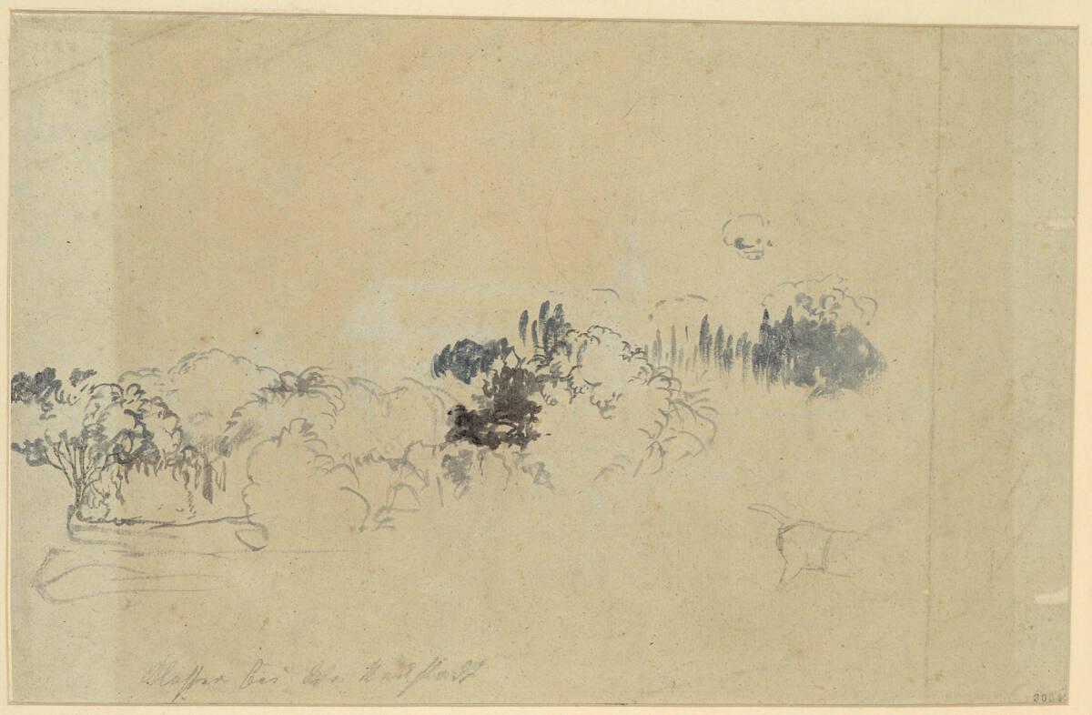 Rudolf von Alt, Waldstudie, Inv. Nr.: 30643v
