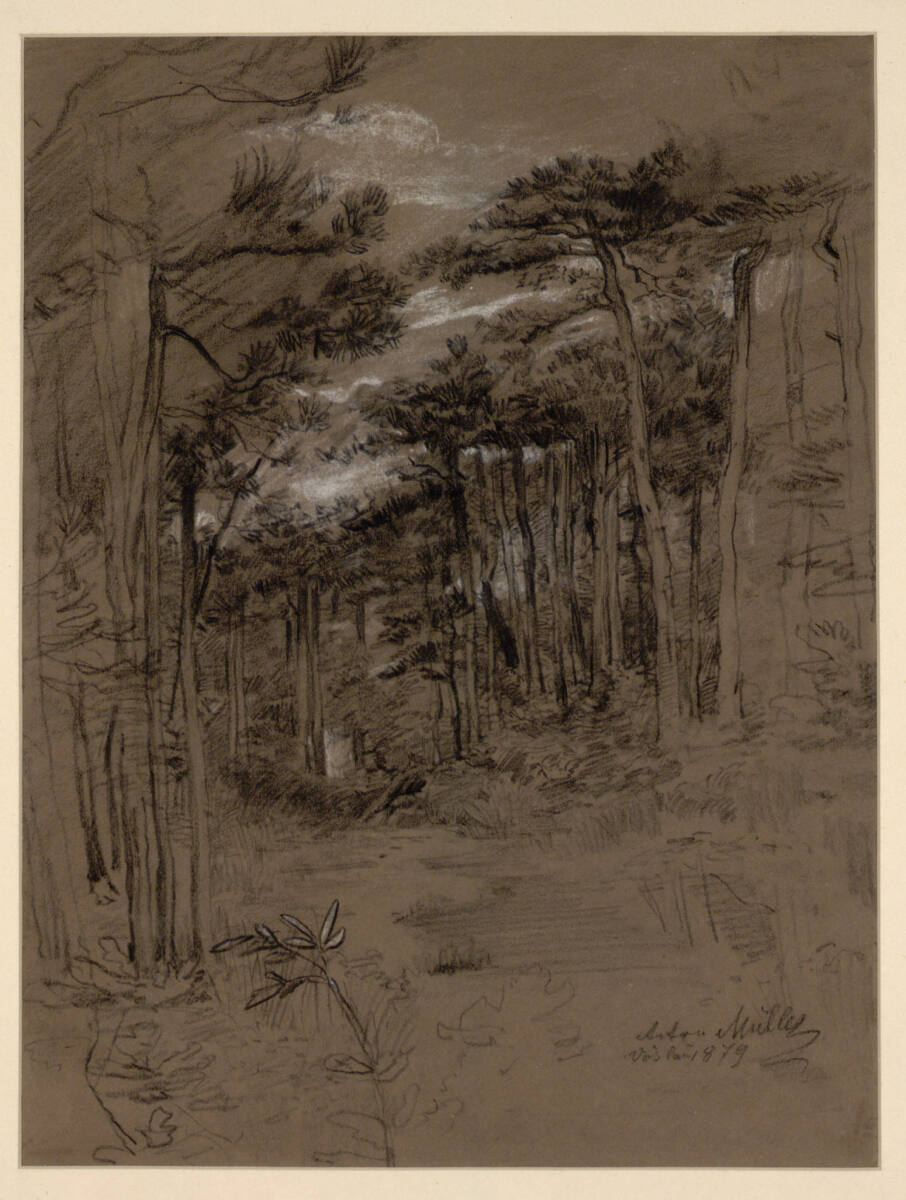 Waldstück, Anton Müller, 1879