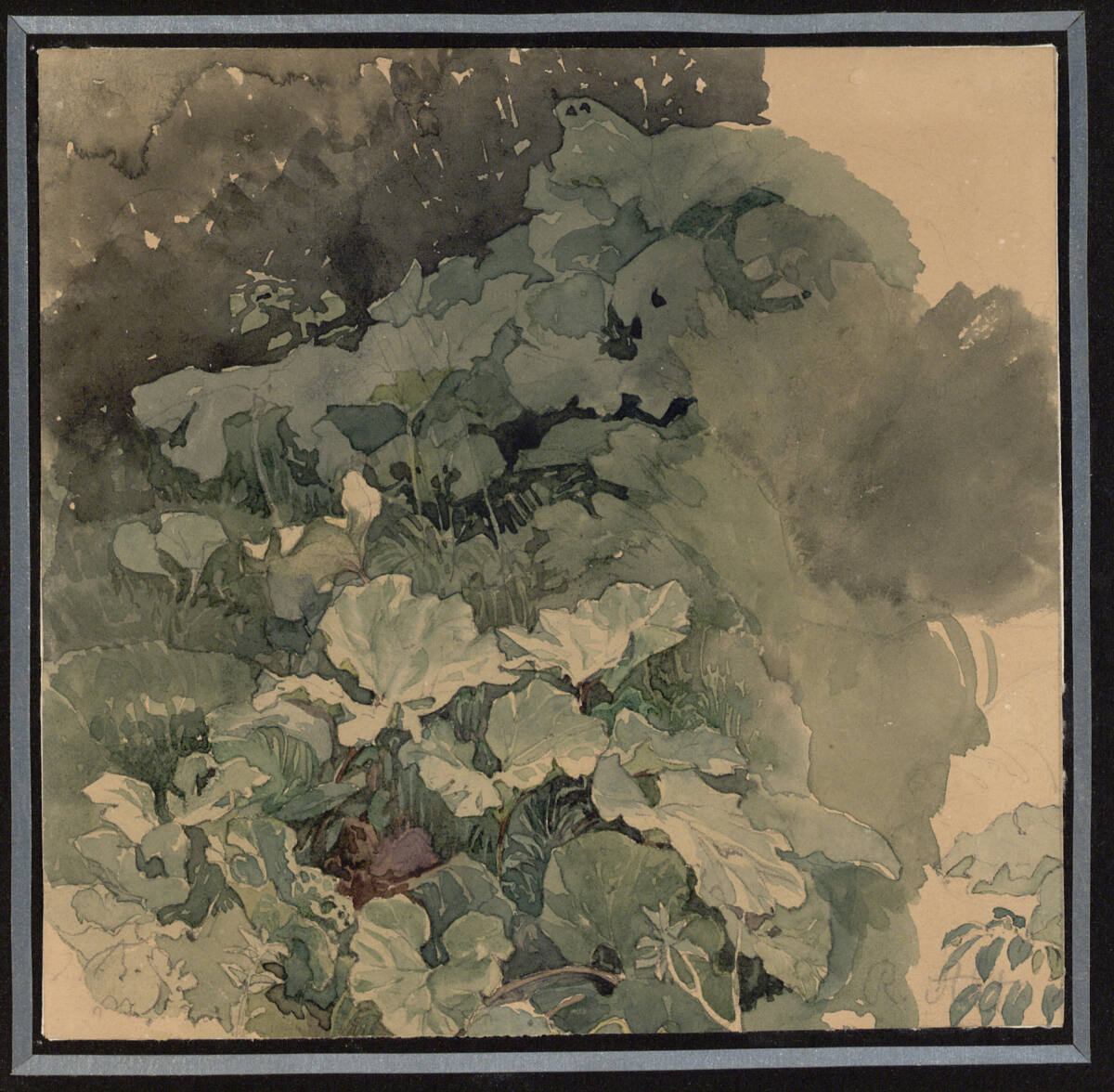 Huflattich, Rudolf von Alt