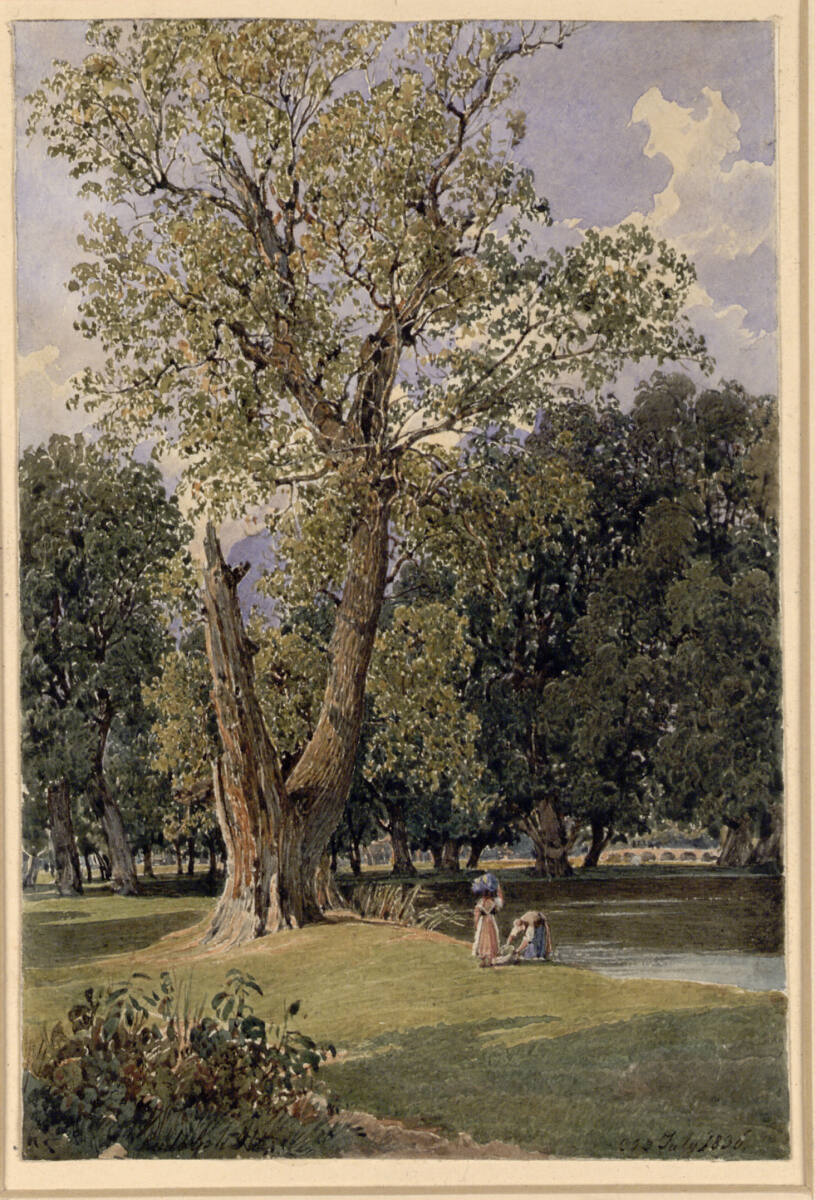 Praterbäume, Rudolf von Alt, 1836