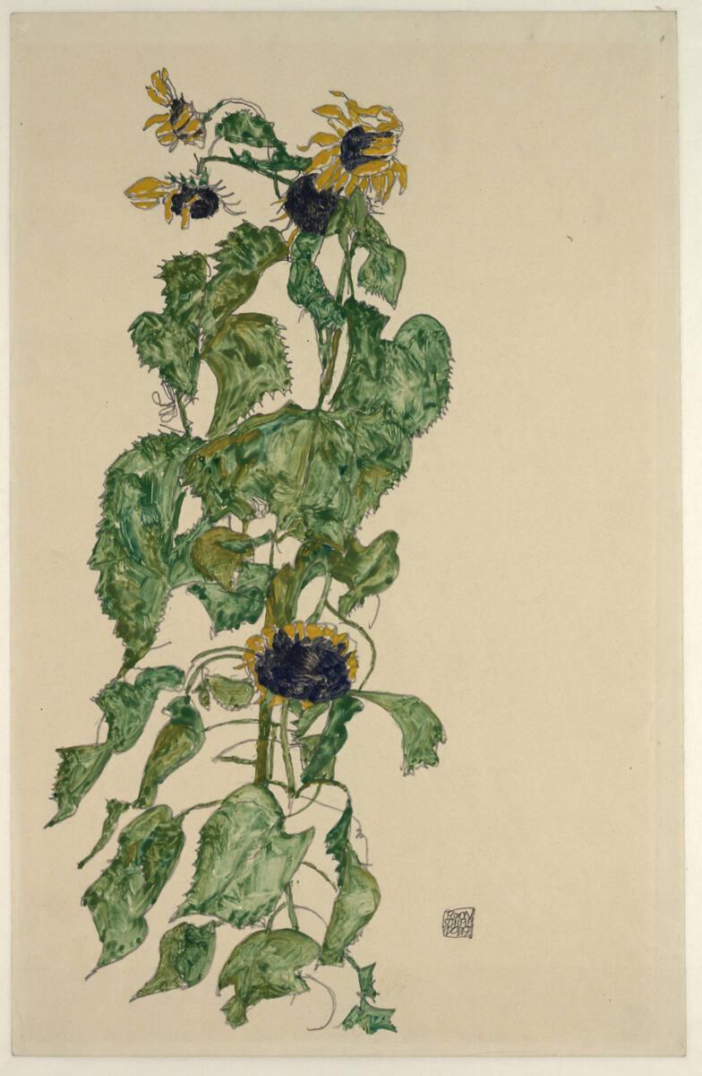 Egon Schiele, Sonnenblumen, Inv. Nr.: 31123