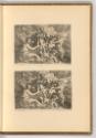 Gerard Seghers. Jacquwes Jordaens. Corneille Schut. Rombaut Eynhoudts. Jeandav. de Heem., Jupit…