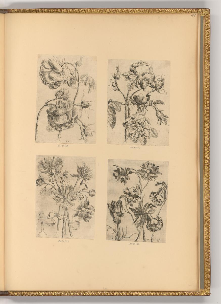 Gerard Seghers. Jacquwes Jordaens. Corneille Schut. Rombaut Eynhoudts. Jeandav. de Heem., Blume…