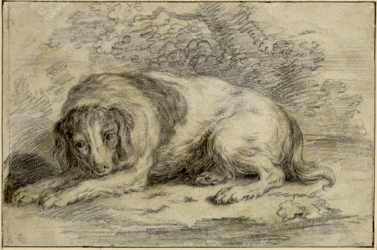 Odoardo Ferracuti, Ein Hund liegt nach links vor einem Busch; sein Blick ist auf den Betrachter…