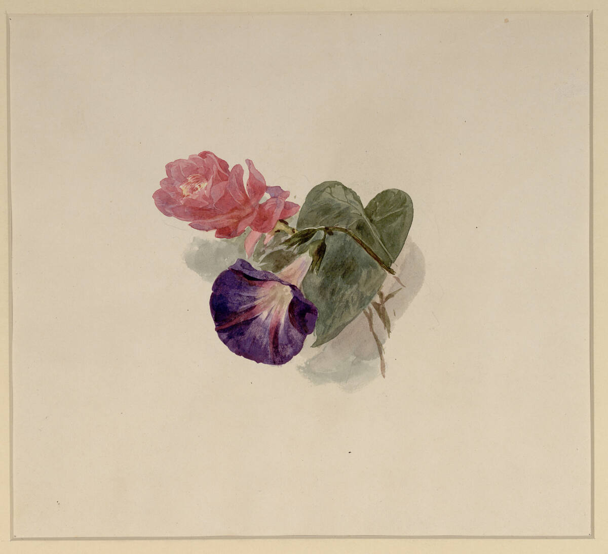 Rote Azalee, Franz Alt, 1850