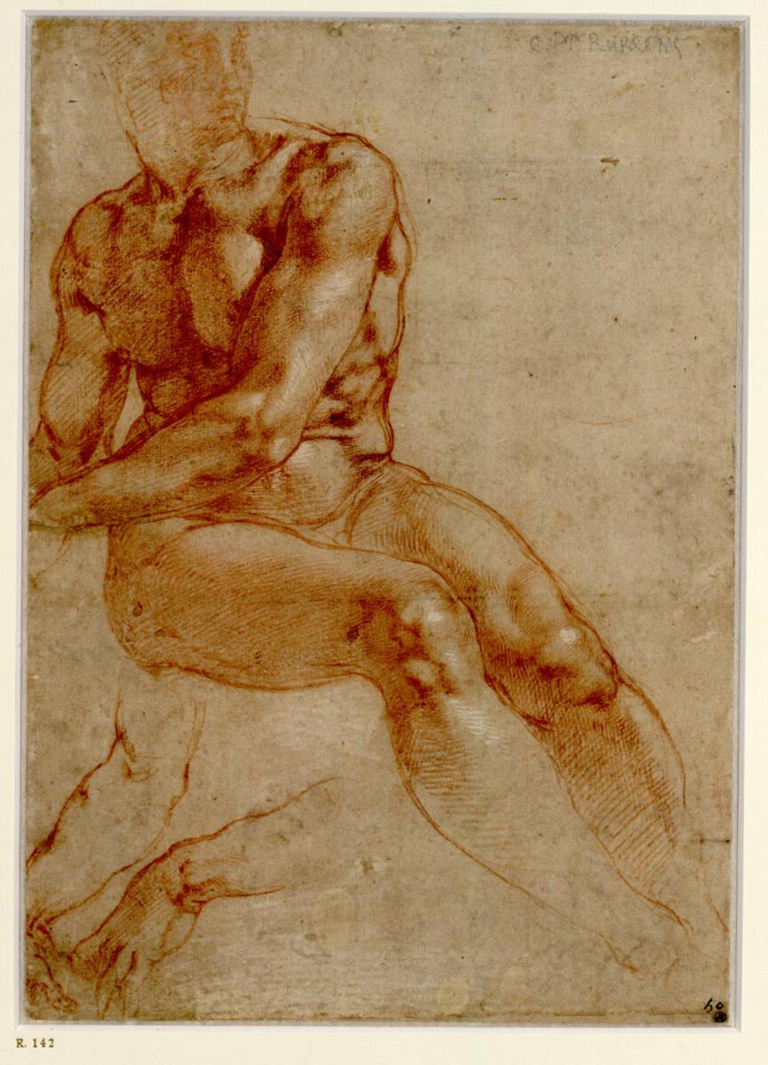 Michelangelo Buonarroti, Sitzender Jünglingsakt und zwei Armstudien, Inv. Nr.: 120r