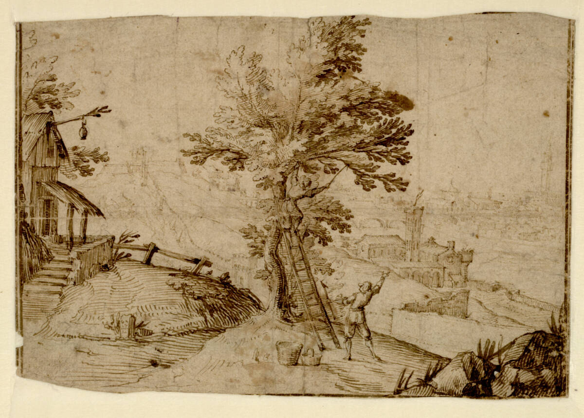 Nußernte mit Blick auf Florenz und das Arnotal, Giulio Parigi