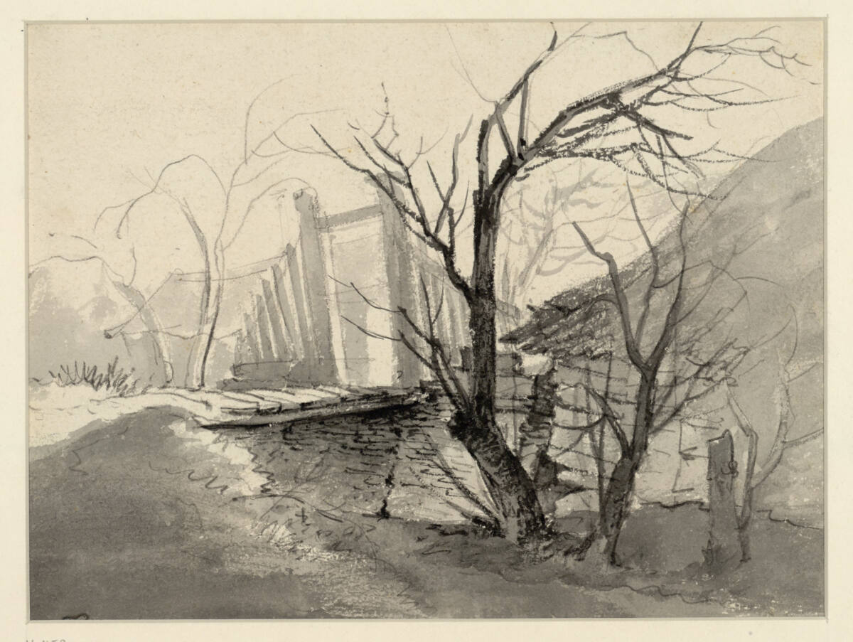 Landschaft mit Bäumen