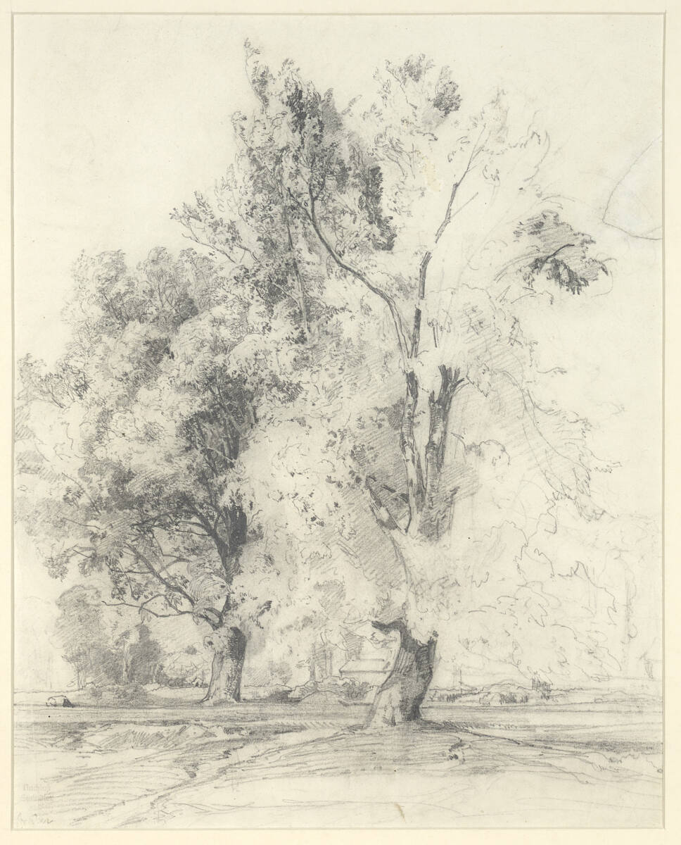 Baumstudie, Emil Jakob Schindler