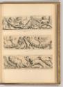 Erasme et Hubert Quellinus, Fries Ornament mit Putten, Weinranken und Tieren, Inv. Nr.: Holland…