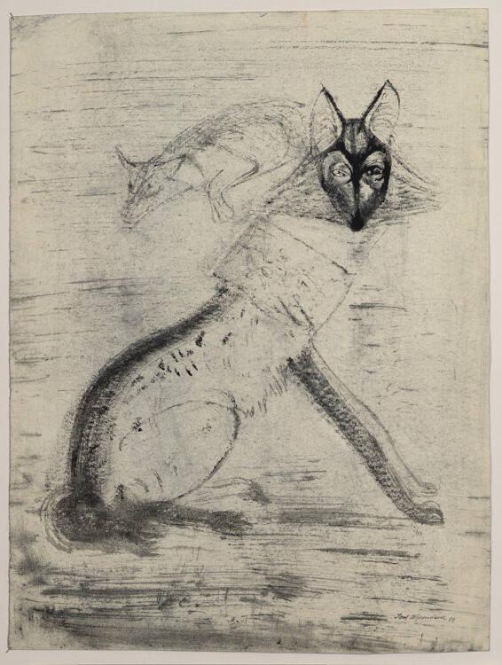Josef Hegenbarth, Luchs, Inv. Nr.: 33569r
