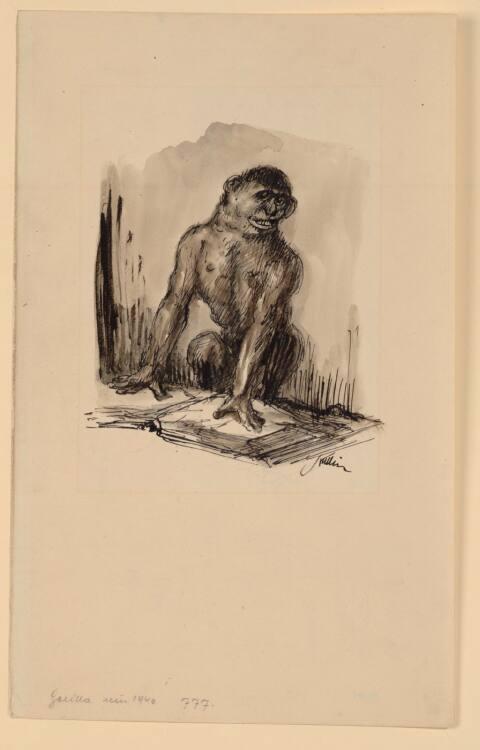 Alfred Kubin, Gorilla, Inv. Nr.: 33767
