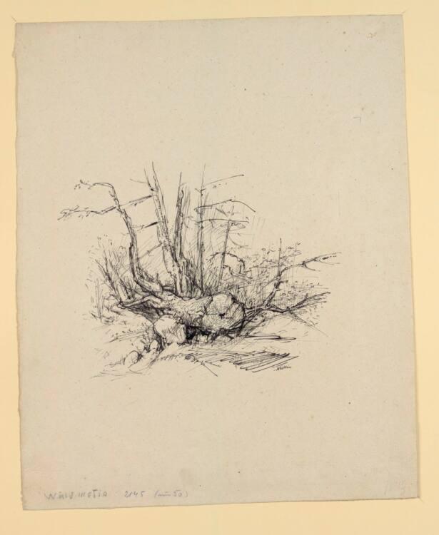 Alfred Kubin, Waldmotiv, Inv. Nr.: 34426