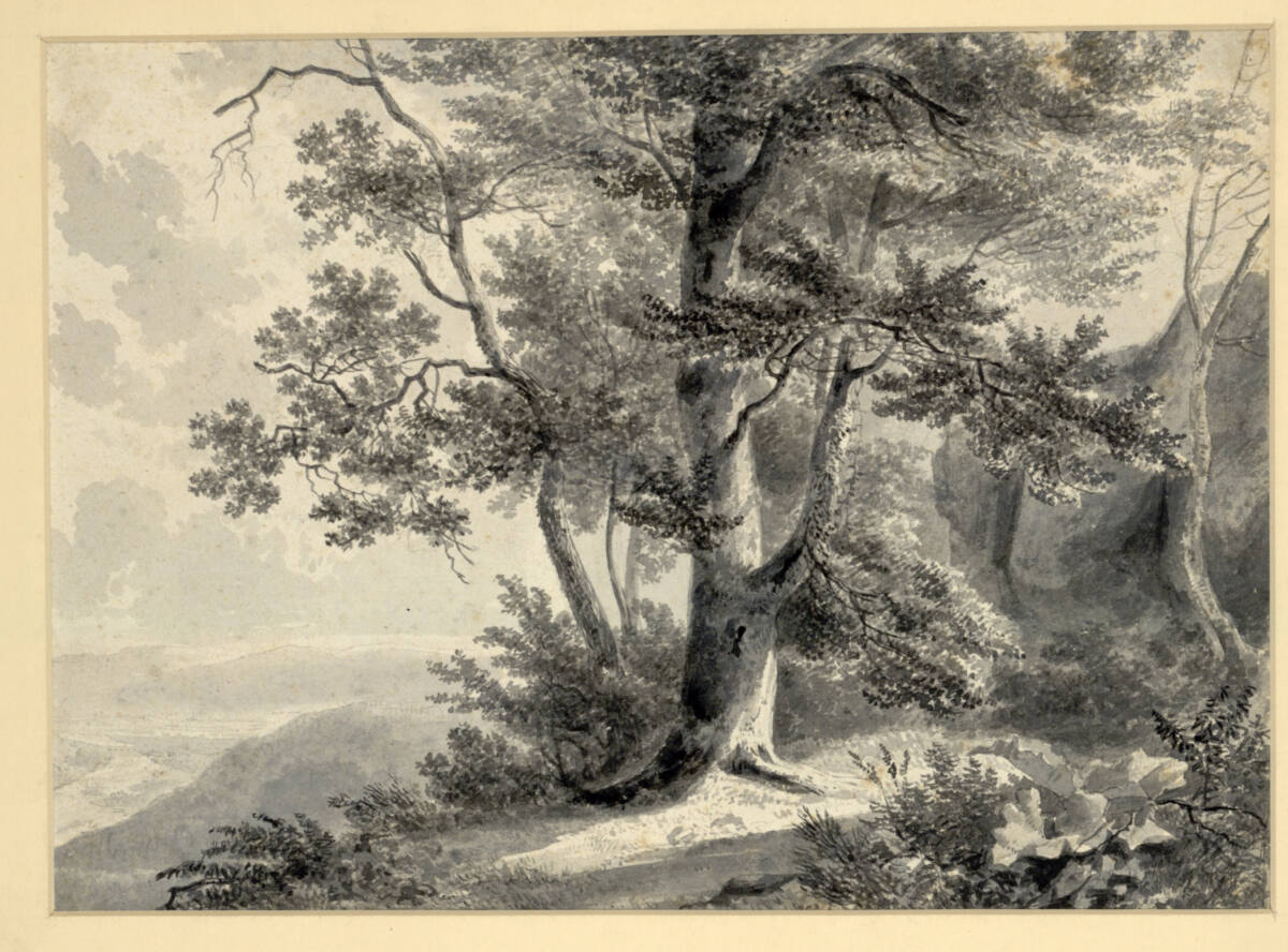 Anonym, Wegstück mit großem Baum und Aussicht ins Tal