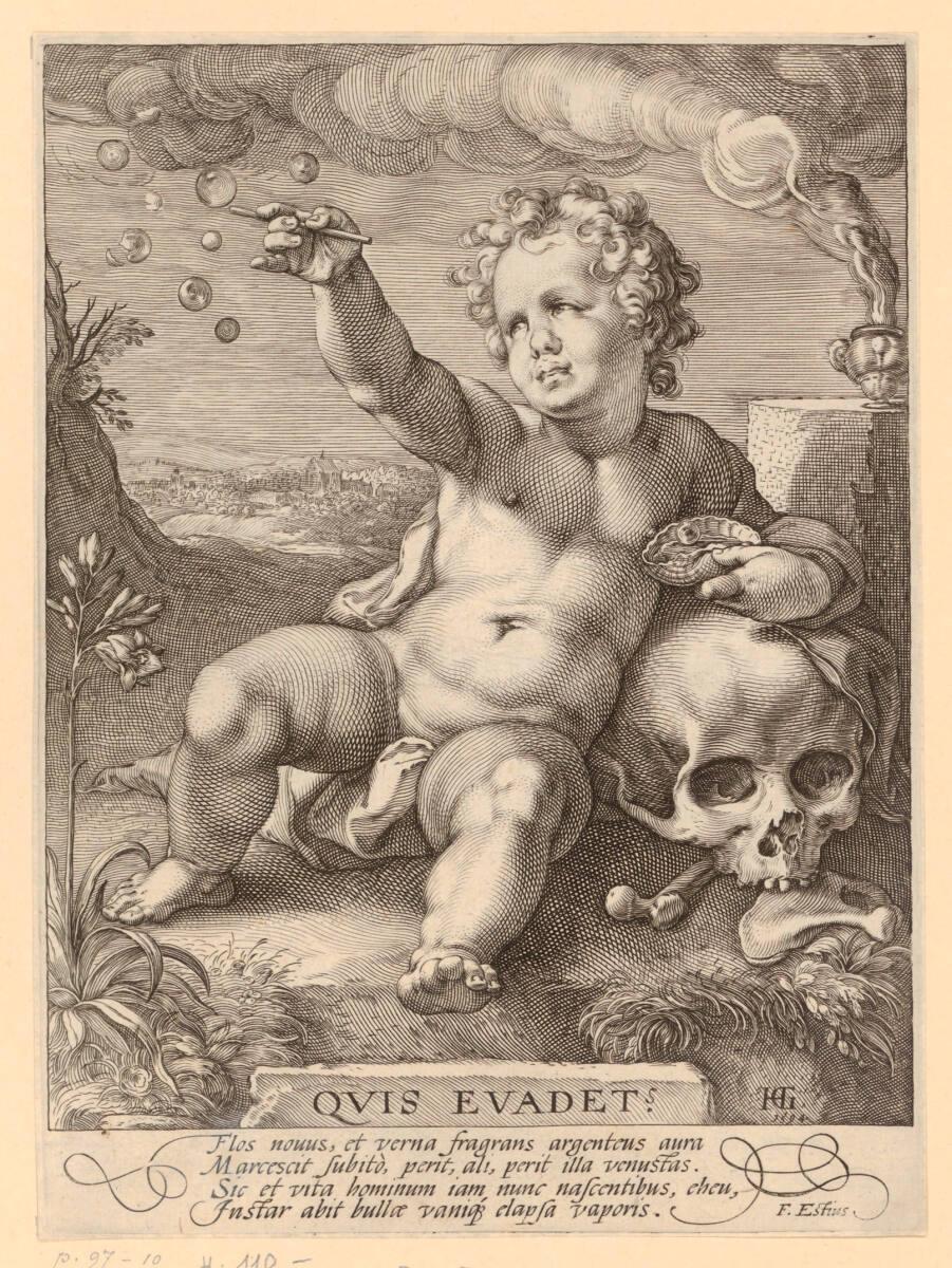 Ovis Evadet, Inv. Nr.: DG74954
