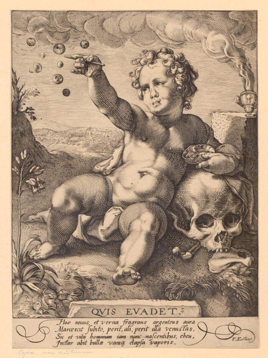 Ovis Evadet, Inv. Nr.: DG74956