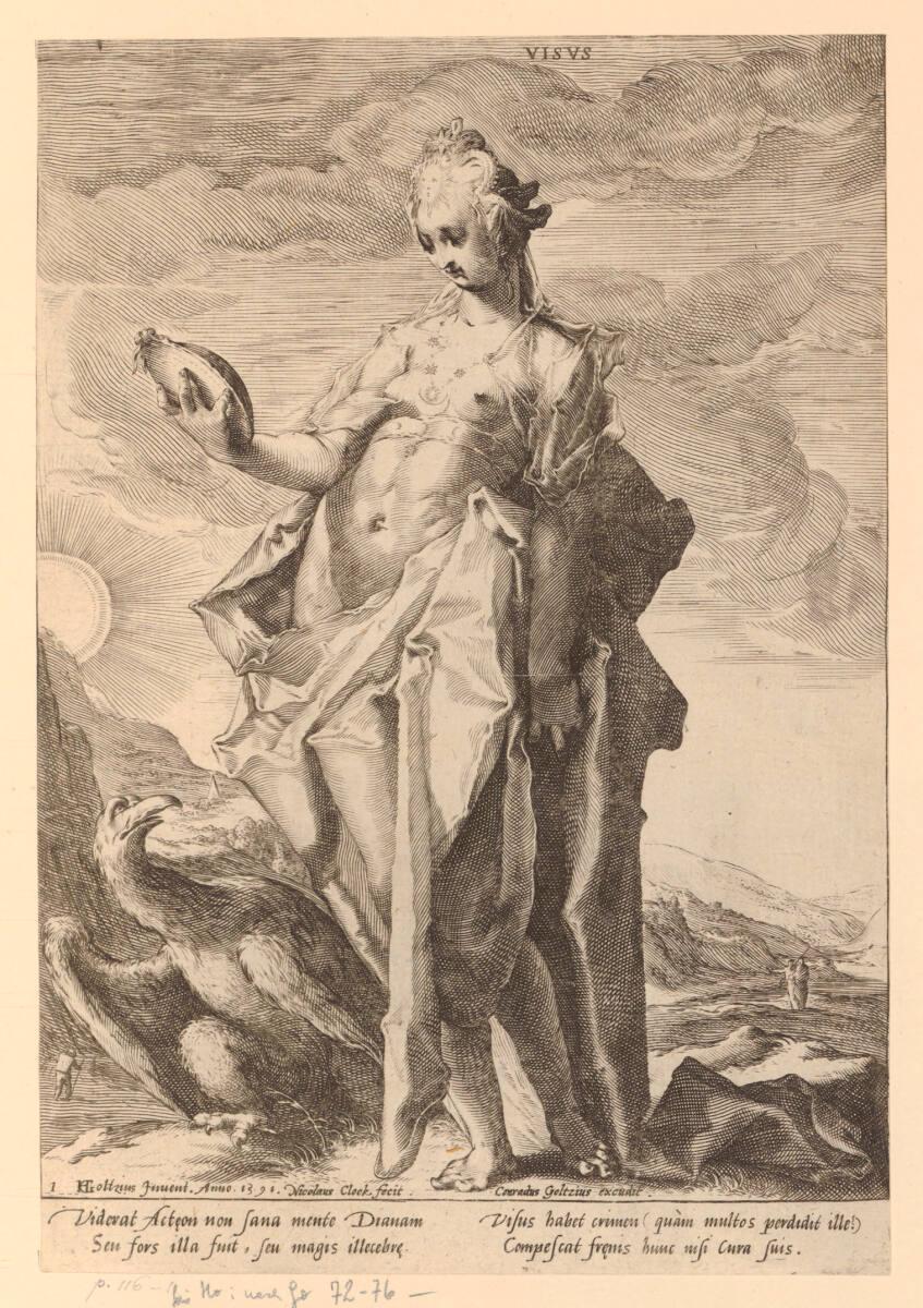 Visus, Inv. Nr.: DG75074