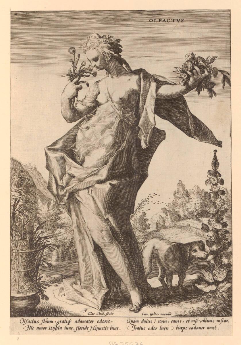 Olfactus, Inv. Nr.: DG75076
