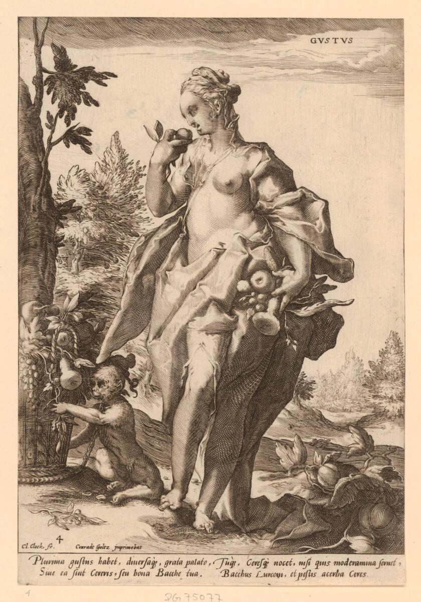 Gustus, Inv. Nr.: DG75077