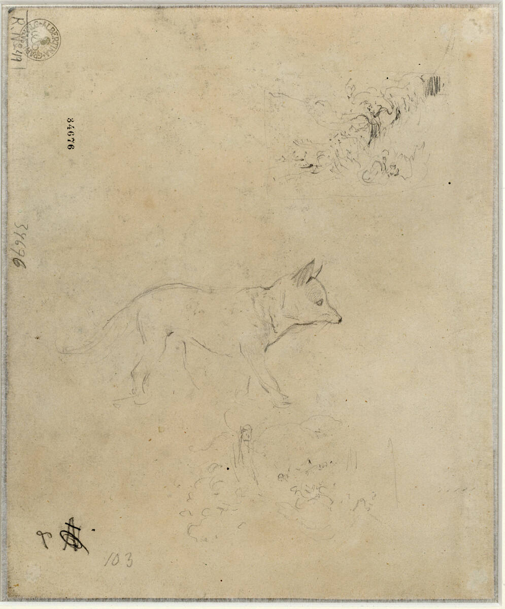 Fuchsstudie, Carl Schindler, 1838–1842