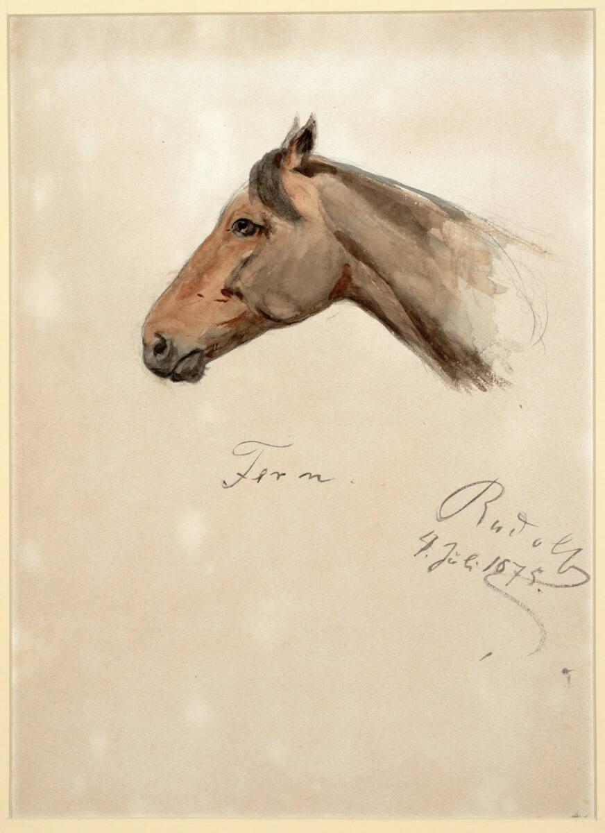 Rudolf Habsburg-Lothringen, Pferdekopf, Inv. Nr.: 34696