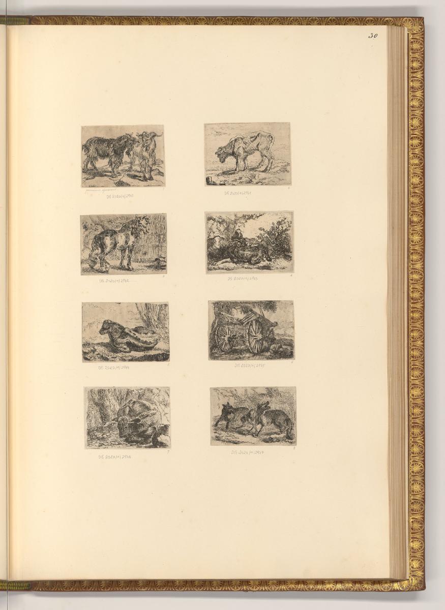 François Wouters; Bonaventure Peeters; Lucas Franchoys; Ignace van den Stock; Charles van Savoy…
