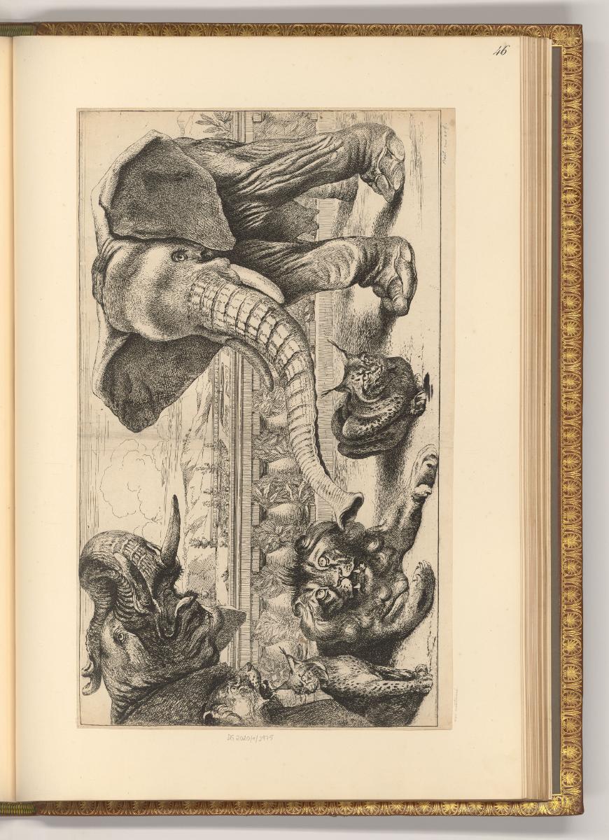 François Wouters; Bonaventure Peeters; Lucas Franchoys; Ignace van den Stock; Charles van Savoy…