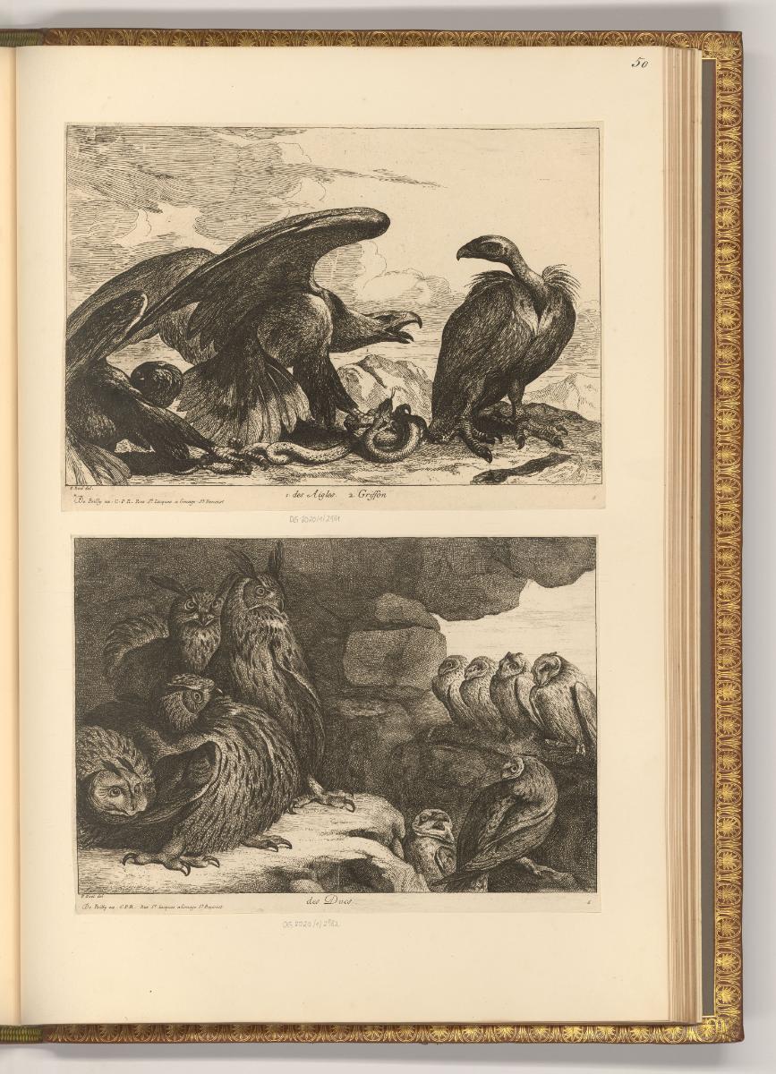 François Wouters; Bonaventure Peeters; Lucas Franchoys; Ignace van den Stock; Charles van Savoy…