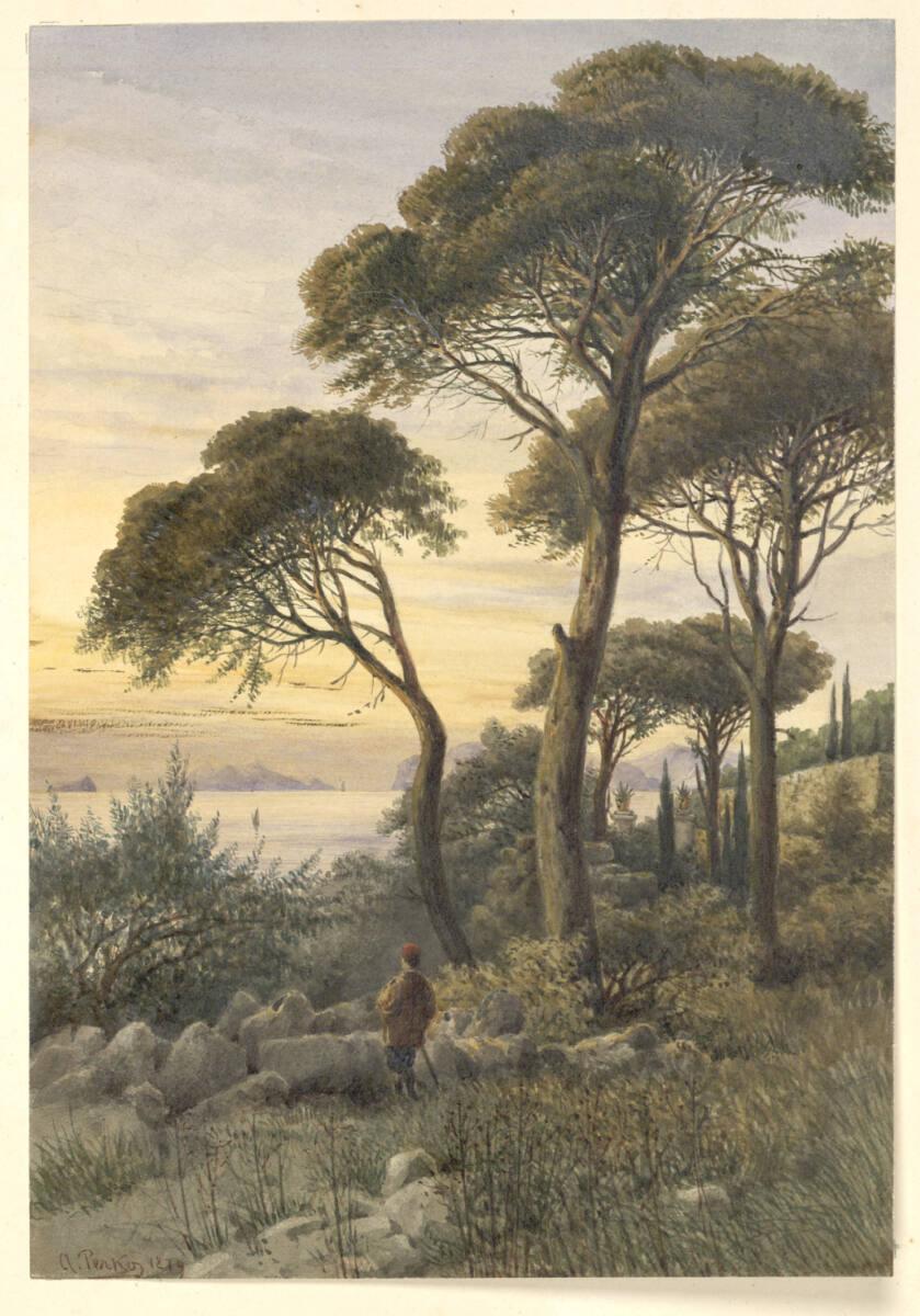 Anton Perko, Pinienhain, Inv. Nr.: 35022