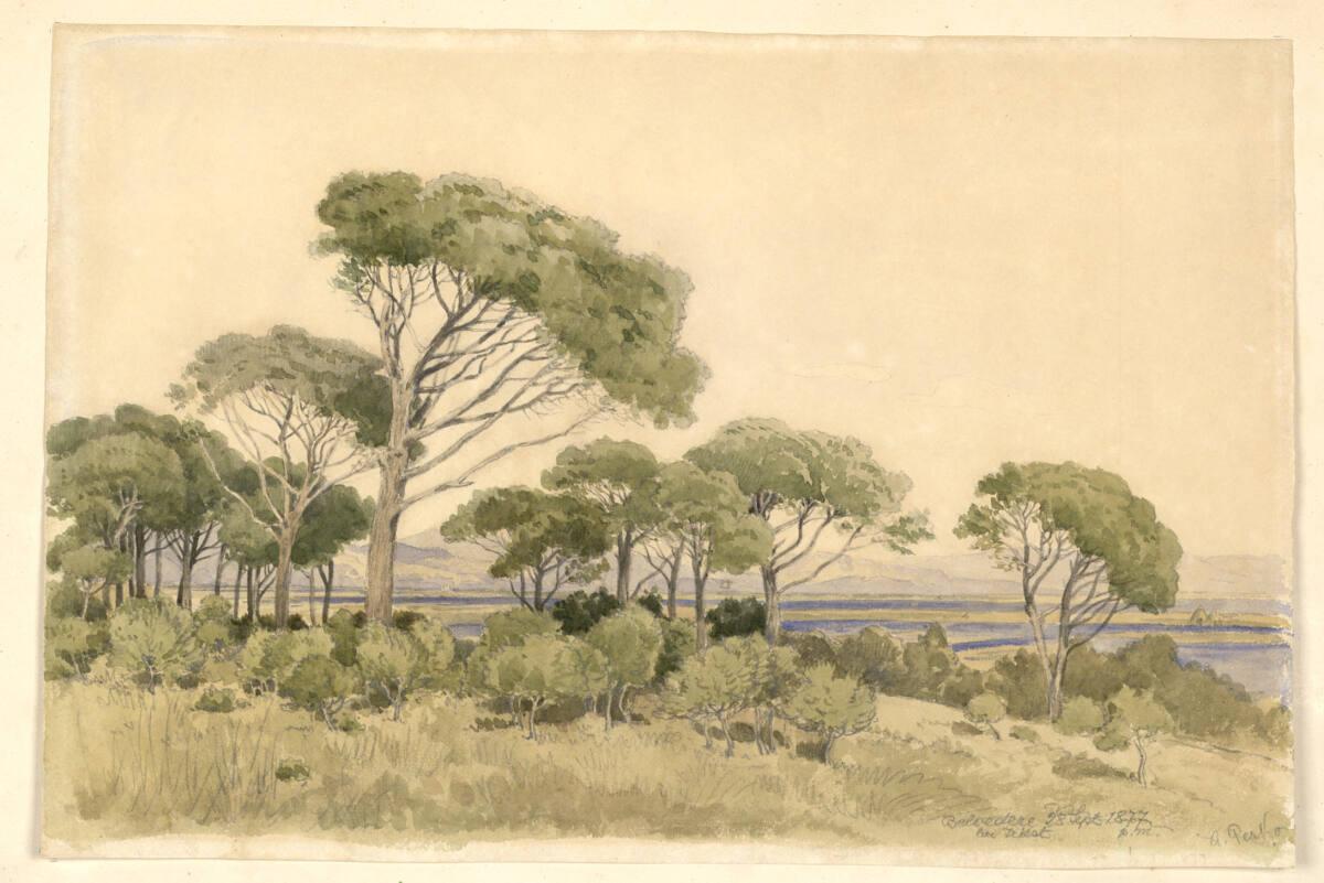 Anton Perko, Belvedere bei Triest, Inv. Nr.: 35026