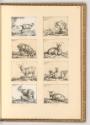 Paulus Potter; Marc de Bye, Diverse Ziegen, Inv. Nr.: Holland nach Sektionen III/39, H/III/39/1…