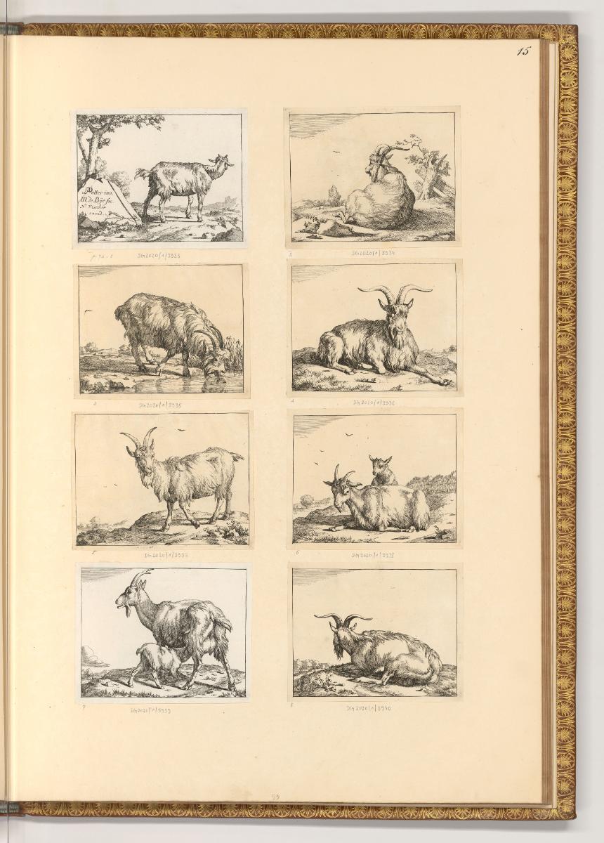 Paulus Potter; Marc de Bye, Diverse Ziegen, Inv. Nr.: Holland nach Sektionen III/39, H/III/39/1…