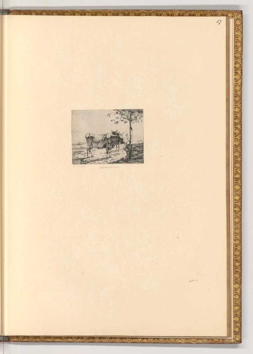 Paulus Potter; Marc de Bye, Zwei Kühe auf einer Weide, Inv. Nr.: Holland nach Sektionen III/39,…