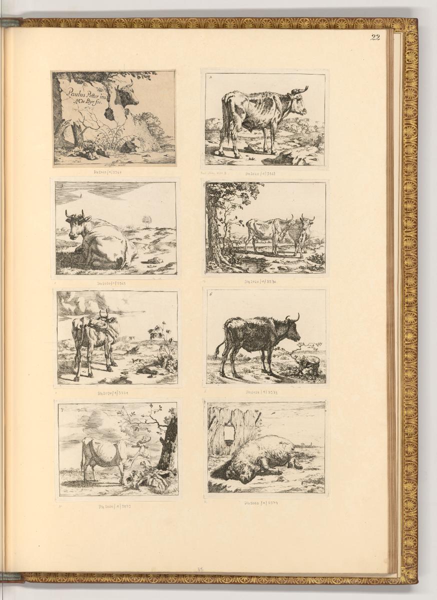 Paulus Potter; Marc de Bye, Diverse Rinder, Inv. Nr.: Holland nach Sektionen III/39, H/III/39/2…